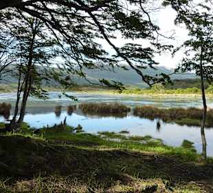 Feuerland National Park