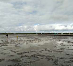 Wandern Leck (Nordfriesland)