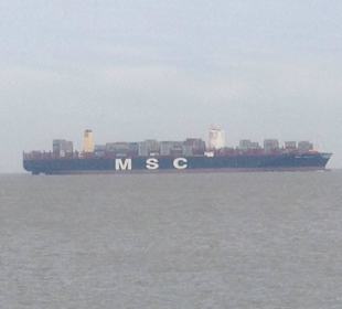 Die MSC Oscar