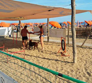 Spielplatz davor für die Kinder extra Abgetrennt