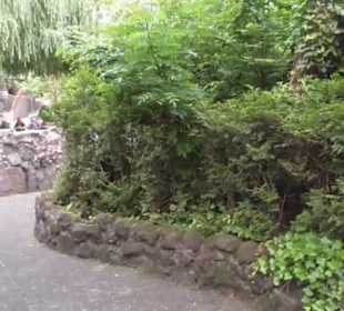 Mystery - Mystery Castle