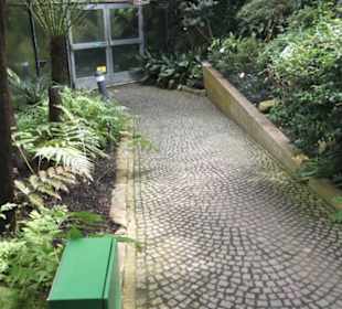 Palmfarnhaus -  Botanischer Garten