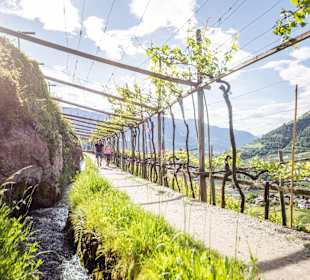 Wandern Algund Vellau