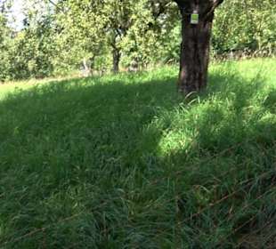 Hochgehnießen - Premiumspazierwanderweg