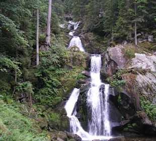 Triberger Wasserfall