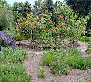 Umgebung + Botanischer Garten Baltschik + Schloss
