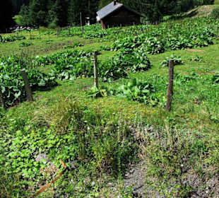 Unterer Bereich Grünsee