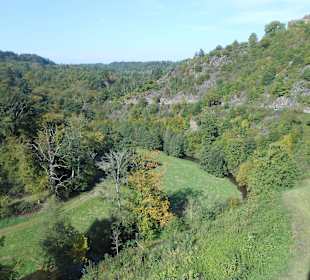 Blick auf den Moselsteig
