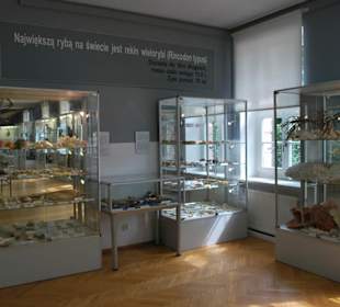 Muzeum Rybołówstwa Morskiego