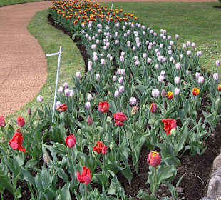 Villa Taranto, Botanischer Garten
