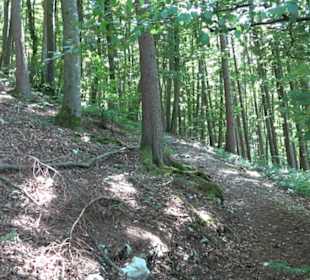 Burg Hohenerpfingen Erpfingen