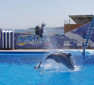 Marineland - auf jeden Fall einen Besuch wert!