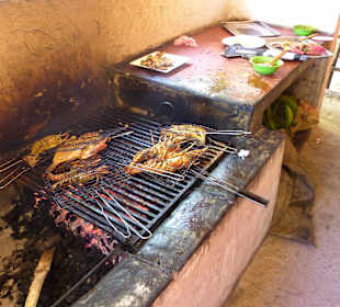 Sieht etwas wild aus