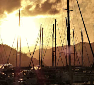 Sonnenuntergang bei Abell Point Marina