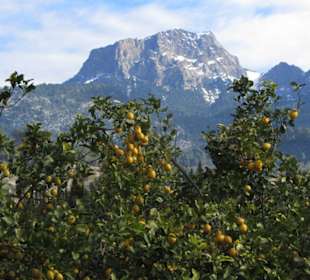 Fornalutx Apfelsinen und Schnee auf den Bergen