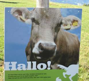 Sollte beherzigt werden