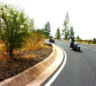 Rent a Bike Bikerental Tenerife