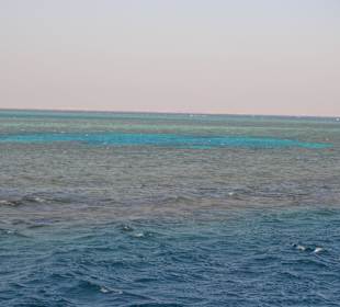 Ausflug mit Mo - Blick aufs Meer