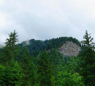 Der Plöckenpass nach AUT