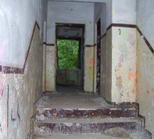 Zakład dla Nerwowo i Psychicznie Chorych Żydów Zofiówka