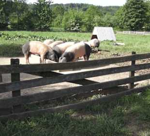 Hohenloher Freilandmuseum