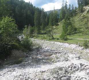Finzalm