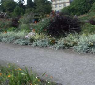 Schmuckhof Botanischer Garten