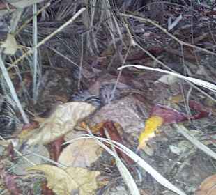 Ausflug mit Mario von Edelweiss Tours