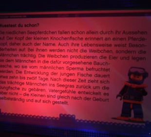  Lego X-Treme - Legoland Atlantis by SEA LIFE