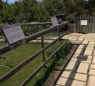 Malta Falconry Centre