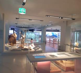 Staatliches Museum für Archäologie