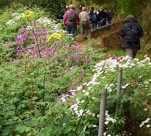 An einer Levada entlang