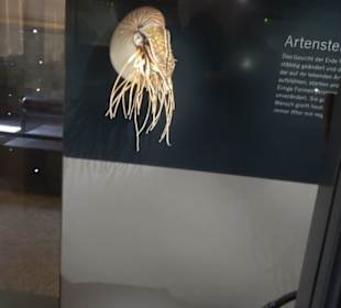 Museum für Naturkunde