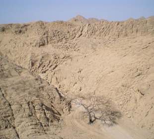 Wüste