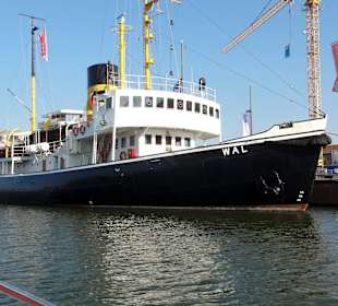 Das Museumsschiff "Wal"