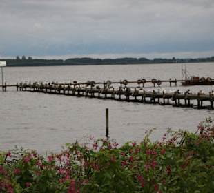Bootsstege an der Strandpromenade