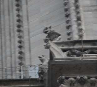 Dettaglio dell'architettura