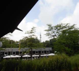 Rosenfest im Westfalenpark in Dortmund