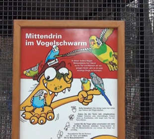 Südamerikabereich - Vogelhaus