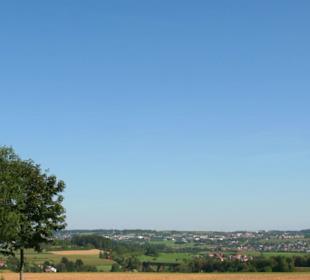 Naturschutzgebiet Forchenkopf Wittlensweiler