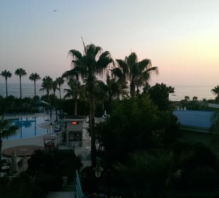 Ausblick auf die Poolanlage