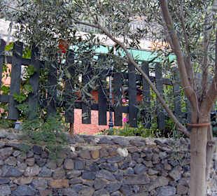 Beim Rundgang um den Berg "Montana de Las Tierres"