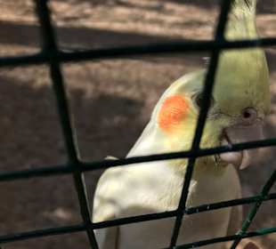 Zoo Grömitz 