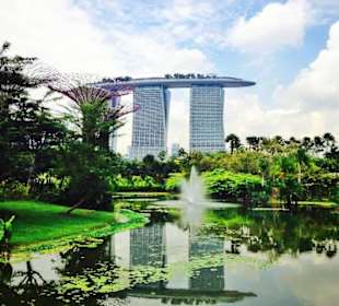 Ulotka krajobrazu Signapore
