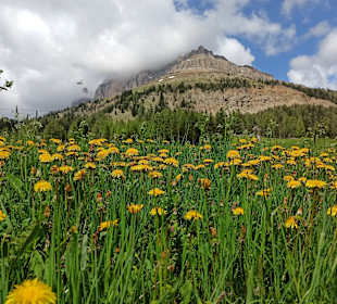 Wandern Nova Levante / Welschnofen
