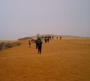 Péninsule de Paracas