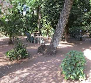 Eindrücke aus dem Jardin Majorelle Garten