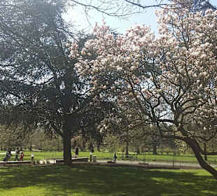Frühling im Westfalenpark Dortmund