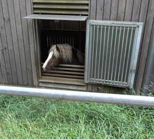 Haupt- und Landgestüt Marbach