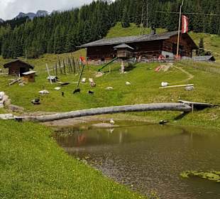 Wandern Dienten